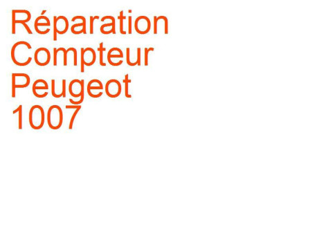 Compteur Peugeot 1007 (2005-2009) [KM]