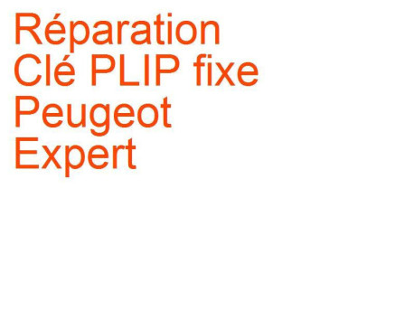 Clé PLIP fixe Peugeot Expert 1 (2004-2006) phase 2