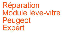 Module lève-vitre Peugeot Expert 1 (2004-2006) phase 2
