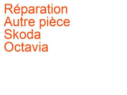 Autre pièce Skoda Octavia 1 (1996-2004)