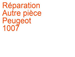 Autre pièce Peugeot 1007 (2005-2009) [KM]
