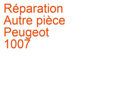 Autre pièce Peugeot 1007 (2005-2009) [KM]