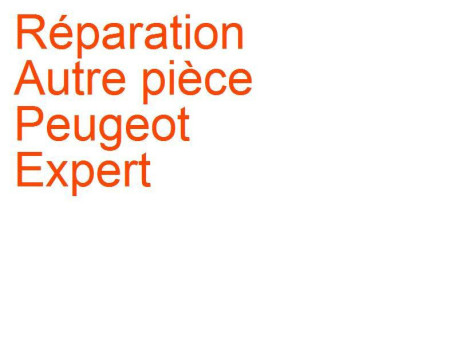 Autre pièce Peugeot Expert 1 (2004-2006) phase 2