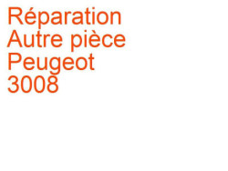 Autre pièce Peugeot 3008 1 (2009-2013) phase 1