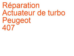 Actuateur de turbo Peugeot 407 (2004-2008)