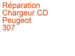 Chargeur CD Peugeot 307 (2001-2005) phase 1