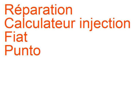 Calculateur injection Fiat Punto 1 (1993-1999) [199]