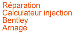 Calculateur injection Bentley Arnage (1999-2009) [II]
