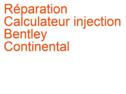 Calculateur injection Bentley Continental (2003-)