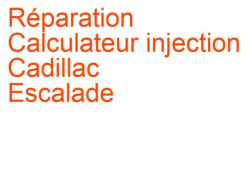 Calculateur injection Cadillac Escalade (1999-2006)