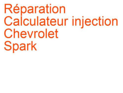 Calculateur injection Chevrolet Spark 2 (2005-2009)