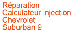 Calculateur injection Chevrolet Suburban 9 (2000-2006) [Suburban]