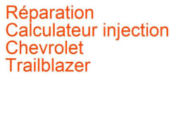 Calculateur injection Chevrolet Trailblazer (2001-2009)