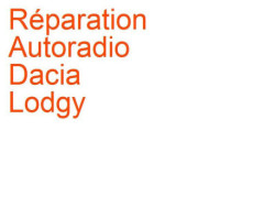 Autoradio Dacia Lodgy (2012-)