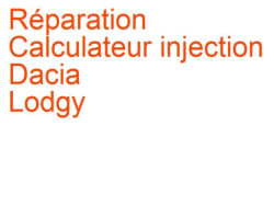 Calculateur injection Dacia Lodgy (2012-)