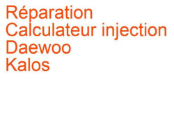 Calculateur injection Daewoo Kalos (2002-2011)