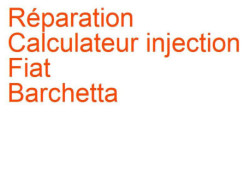 Calculateur injection Fiat Barchetta (1994-2005) [183]