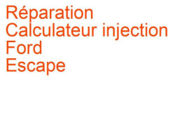 Calculateur injection Ford Escape 2 (2007-2012)