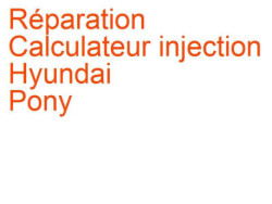 Calculateur injection Hyundai Pony 4 (1989-1995) [X-2]