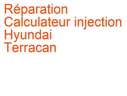 Calculateur injection Hyundai Terracan (2001-2007)