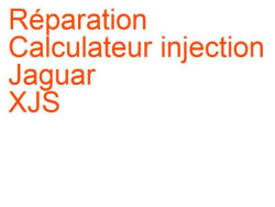 Calculateur injection Jaguar XJS (1975-1996)
