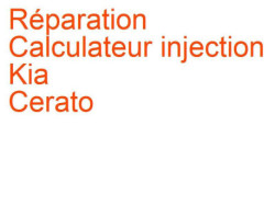 Calculateur injection Kia Cerato (2003-2008)