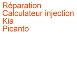 Calculateur injection Kia Picanto 1 (2007-2011) phase 2