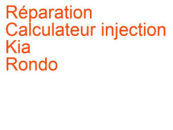 Calculateur injection Kia Rondo 1 (1999-2006)