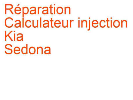 Calculateur injection Kia Sedona 1 (1999-2001) phase 1