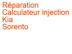 Calculateur injection Kia Sorento 2 (2009-2015) [XM]