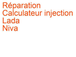 Calculateur injection Lada Niva (1977-)