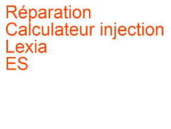 Calculateur injection Lexia ES (1989-1997)