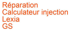 Calculateur injection Lexia GS 1 (1993-1997)