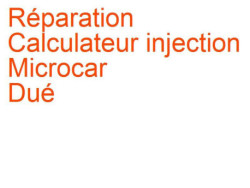 Calculateur injection Microcar Dué (2012-)
