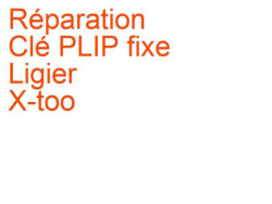 Clé PLIP fixe Ligier X-too (2004-2012)