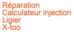 Calculateur injection Ligier X-too (2004-2012)