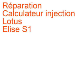 Calculateur injection Lotus Elise S1 (1996-2001)