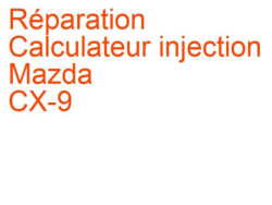 Calculateur injection Mazda CX-9 (2007-2016)