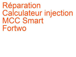 Calculateur injection MCC Smart Fortwo (1997-)