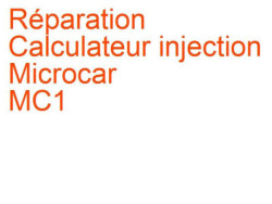 Calculateur injection Microcar MC1 (2003-2006)