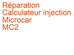 Calculateur injection Microcar MC2 (2004-2011)