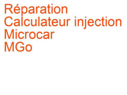 Calculateur injection Microcar MGo (2008-2014)