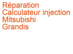 Calculateur injection Mitsubishi Grandis (2003-2011) [NAW]