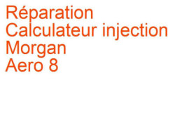 Calculateur injection Morgan Aero 8 (2001-2008)