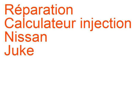 Calculateur injection Nissan Juke (2010-2019)