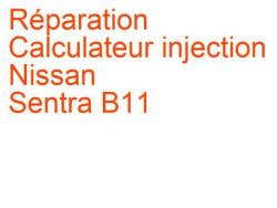 Calculateur injection Nissan Sentra B11 (1982-1985)