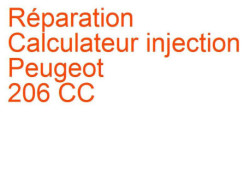 Calculateur injection Peugeot 206 CC (2000-2007)