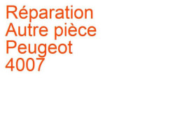 Autre pièce Peugeot 4007 (2007-2012)