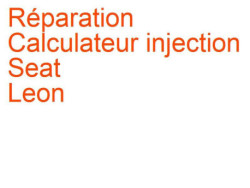 Calculateur injection Seat Leon 3 (2012-2020)