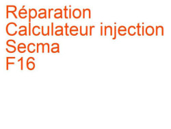 Calculateur injection Secma F16 (2008-2008)